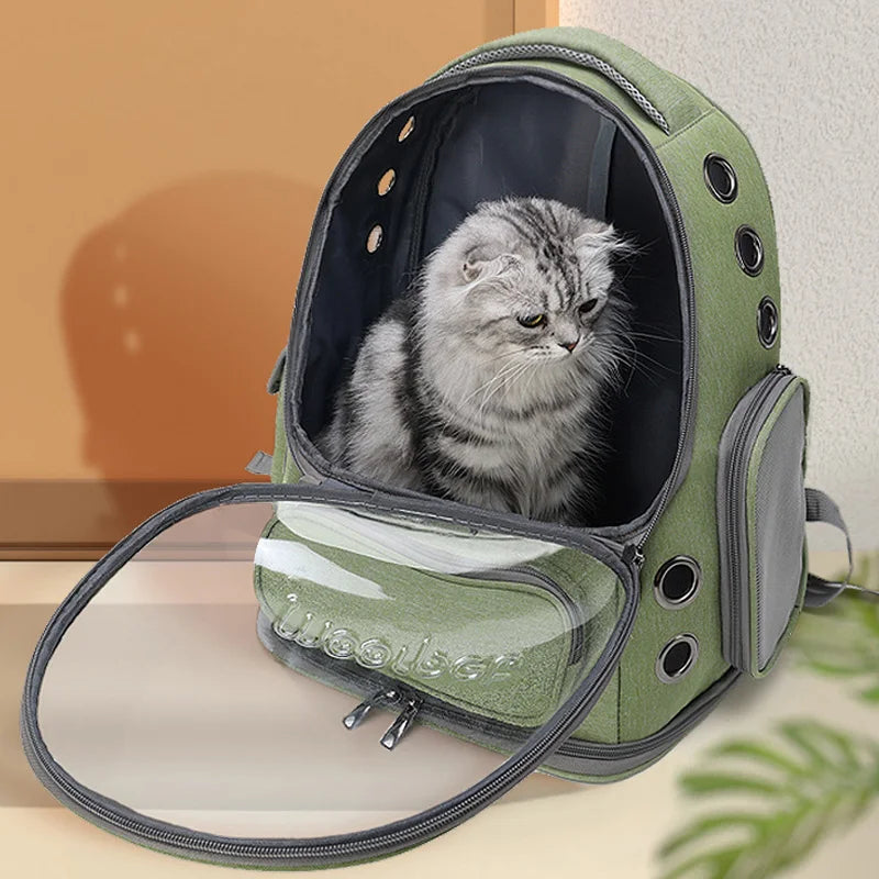Transparent Pet Carrier Backpack for Cats & Small Dogs | Pawlio™
