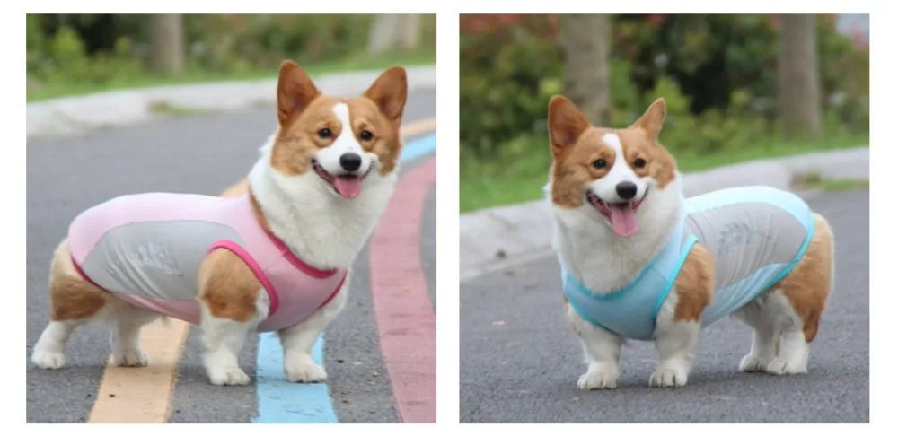 Summer Pet Dog Cooling Vest Quick Dry Pet Clothes Sun Protection Reflective Breathable Cats Outfit For Small Medium Large Dogs