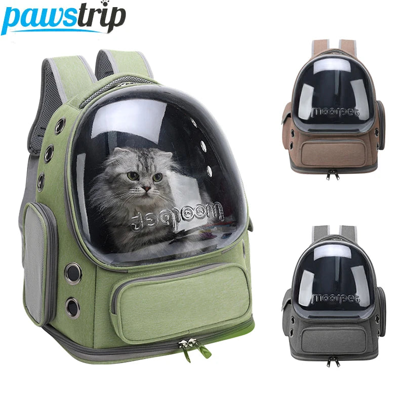 Transparent Pet Carrier Backpack for Cats & Small Dogs | Pawlio™