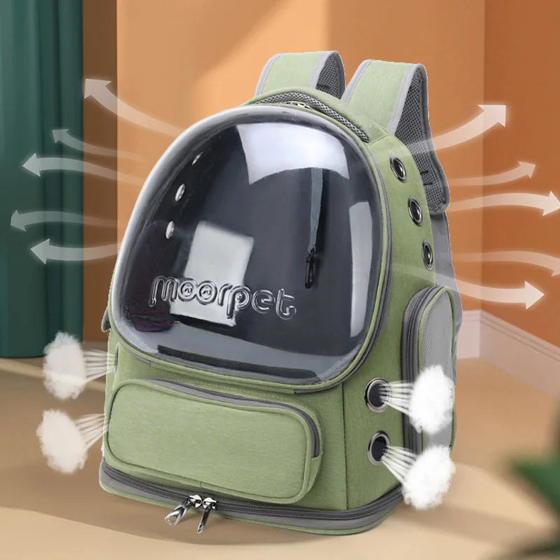 Transparent Pet Carrier Backpack for Cats & Small Dogs | Pawlio™