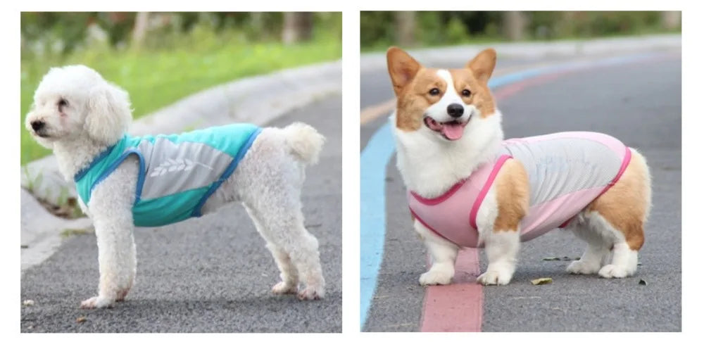 Summer Pet Dog Cooling Vest Quick Dry Pet Clothes Sun Protection Reflective Breathable Cats Outfit For Small Medium Large Dogs