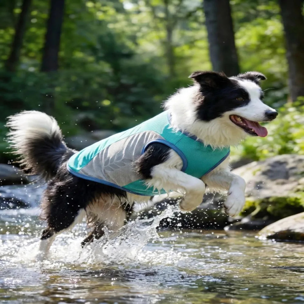 Summer Pet Dog Cooling Vest Quick Dry Pet Clothes Sun Protection Reflective Breathable Cats Outfit For Small Medium Large Dogs