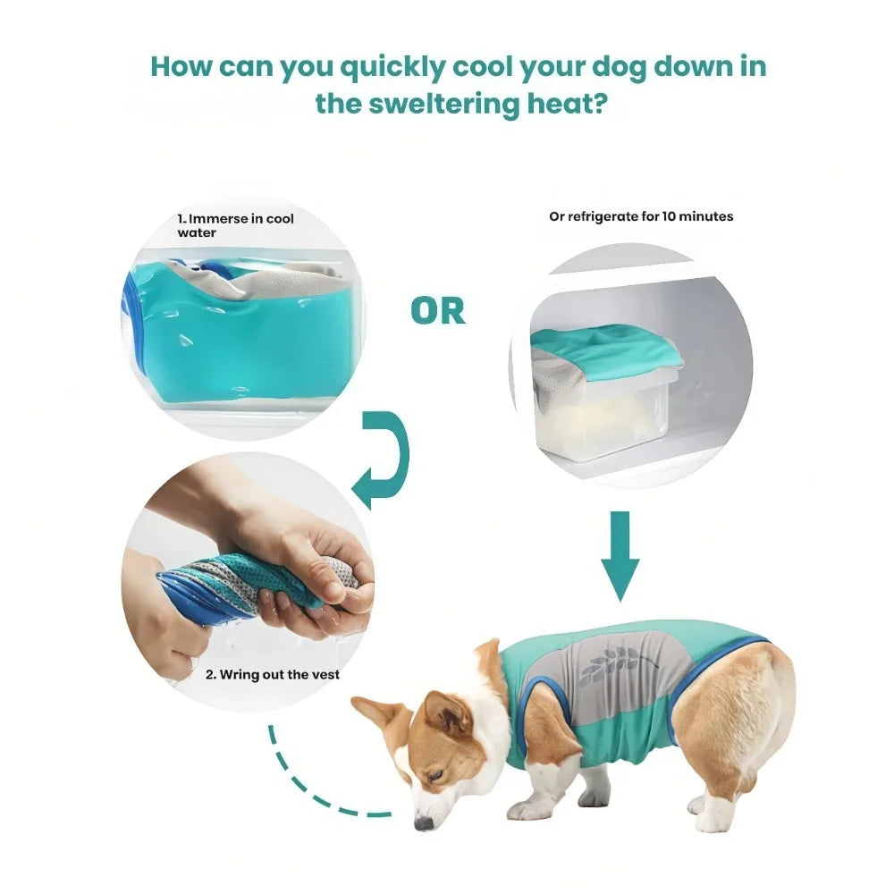 Summer Pet Dog Cooling Vest Quick Dry Pet Clothes Sun Protection Reflective Breathable Cats Outfit For Small Medium Large Dogs