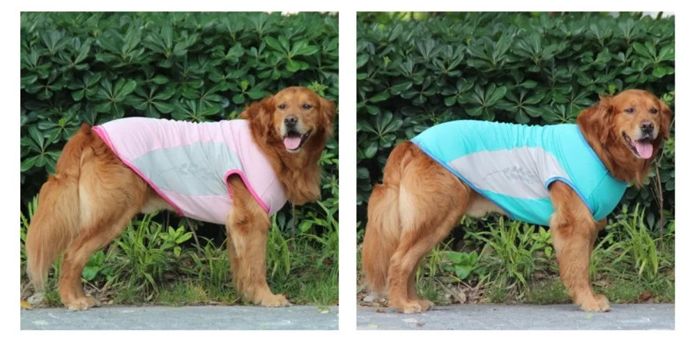 Summer Pet Dog Cooling Vest Quick Dry Pet Clothes Sun Protection Reflective Breathable Cats Outfit For Small Medium Large Dogs