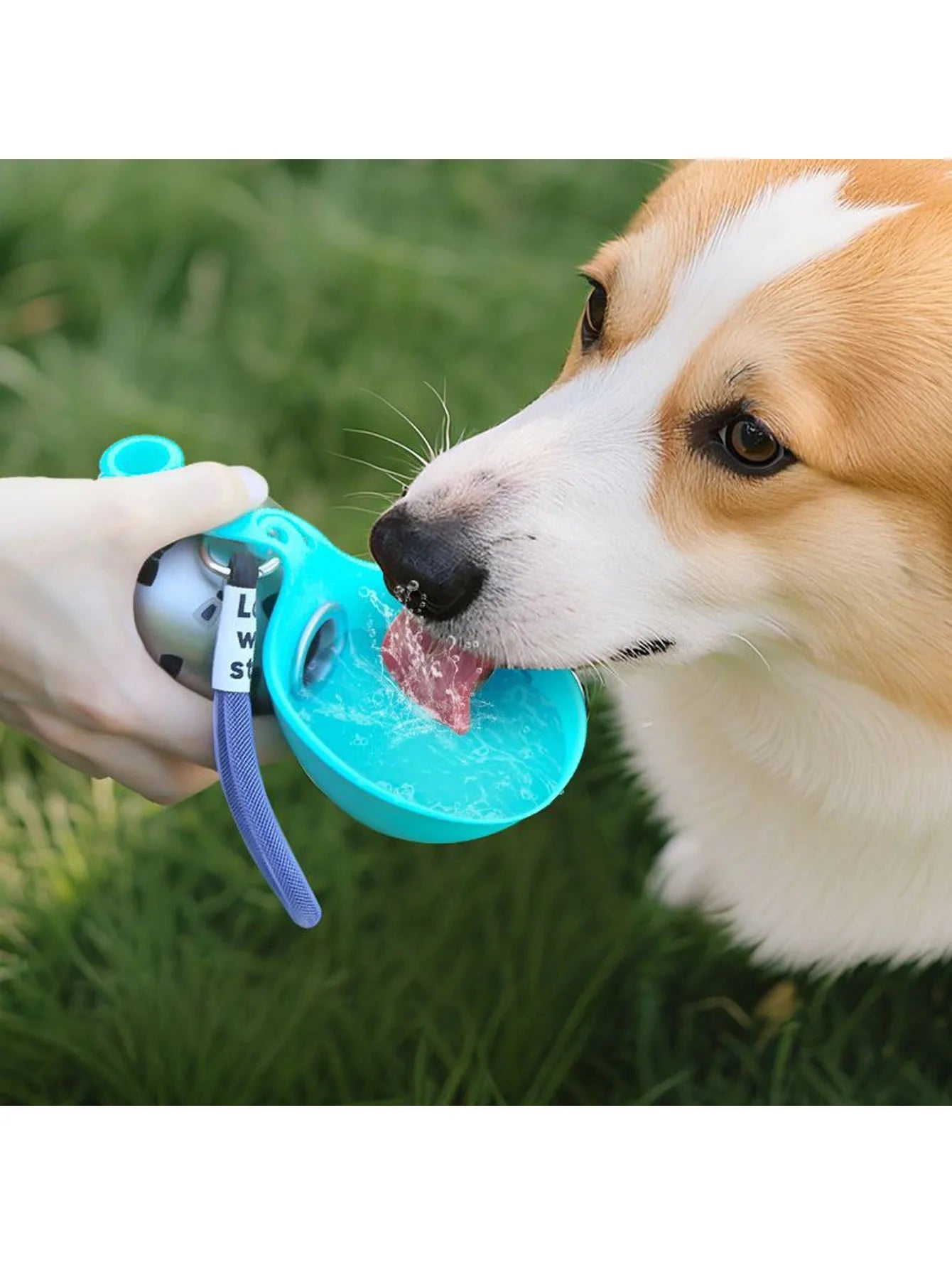 Pawlio™ Leak-Proof Dog Water Bottle – Portable 3-in-1 Hydration Solution for Outdoor Adventures