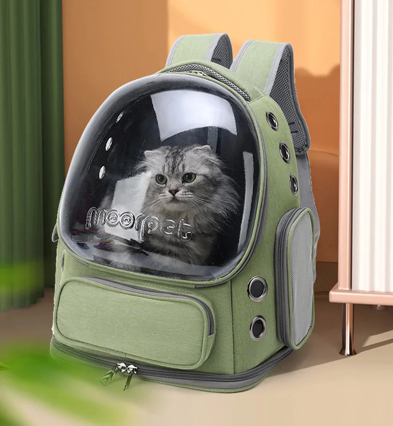 Transparent Pet Carrier Backpack for Cats & Small Dogs | Pawlio™