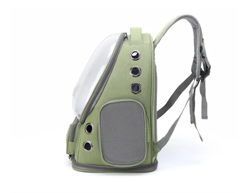 Transparent Pet Carrier Backpack for Cats & Small Dogs | Pawlio™