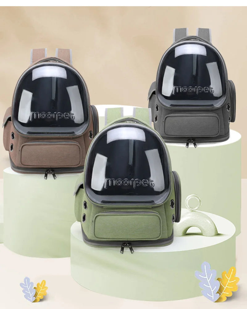 Transparent Pet Carrier Backpack for Cats & Small Dogs | Pawlio™