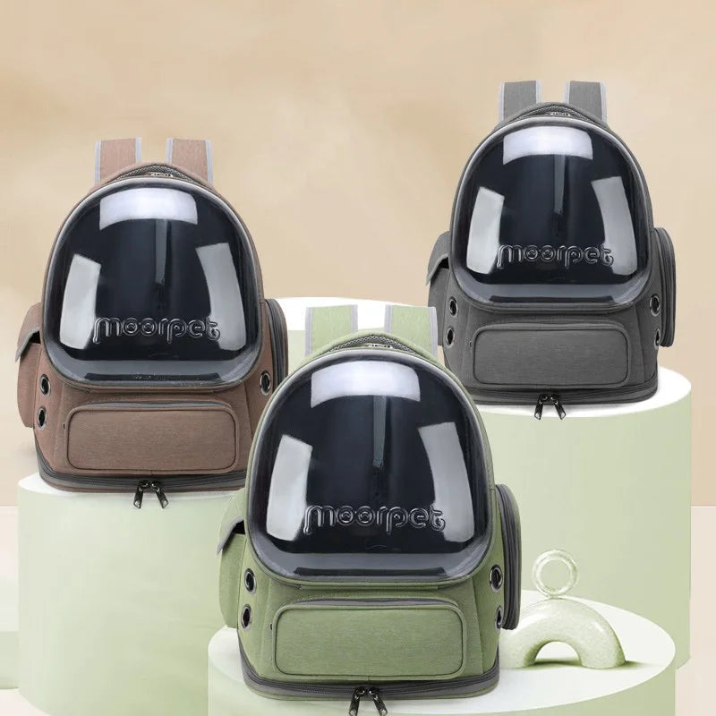 Transparent Pet Carrier Backpack for Cats & Small Dogs | Pawlio™
