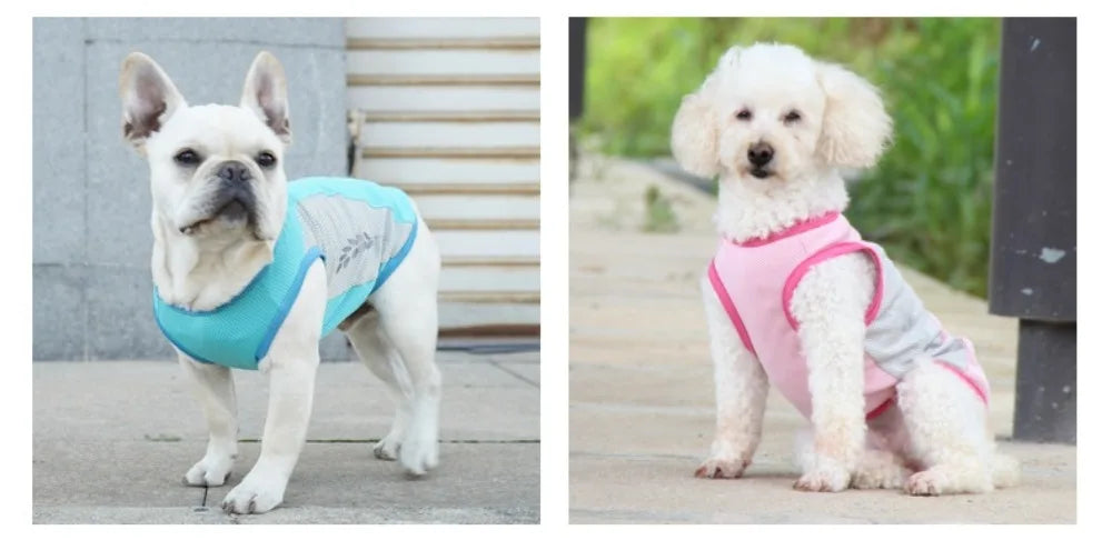 Summer Pet Dog Cooling Vest Quick Dry Pet Clothes Sun Protection Reflective Breathable Cats Outfit For Small Medium Large Dogs