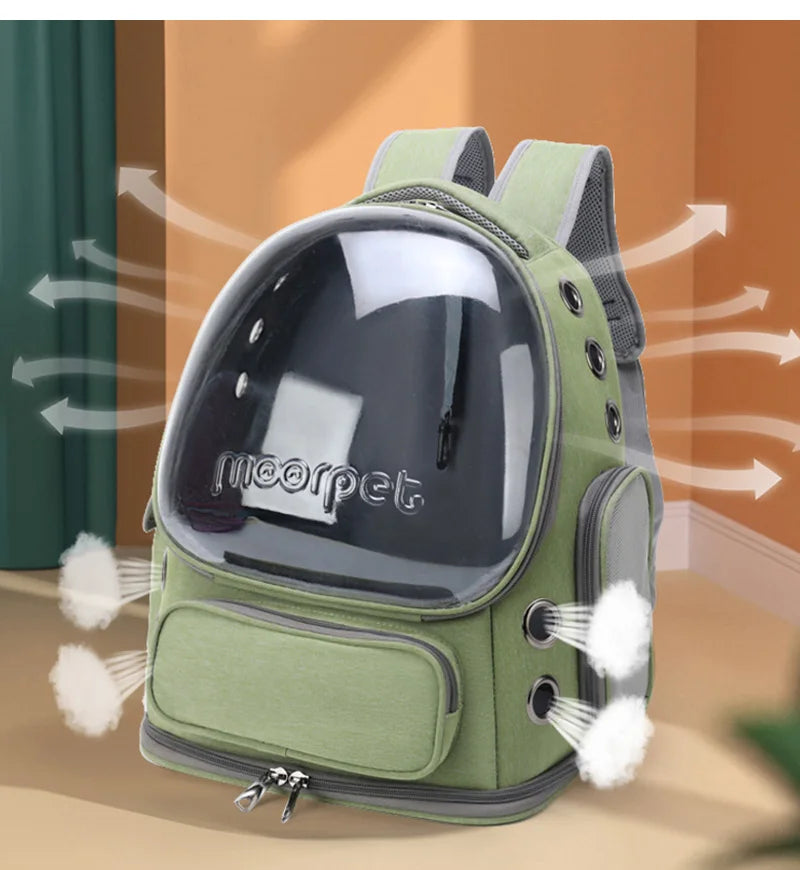 Transparent Pet Carrier Backpack for Cats & Small Dogs | Pawlio™