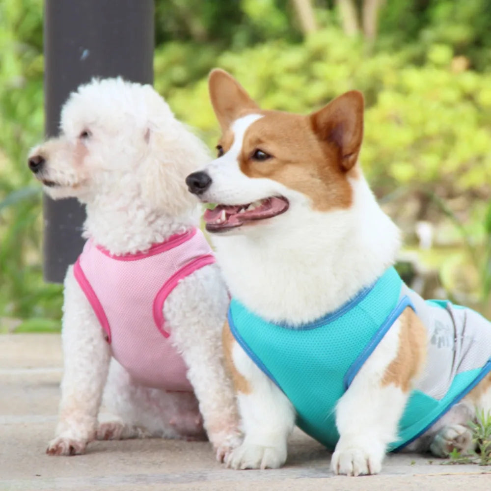 Summer Pet Dog Cooling Vest Quick Dry Pet Clothes Sun Protection Reflective Breathable Cats Outfit For Small Medium Large Dogs