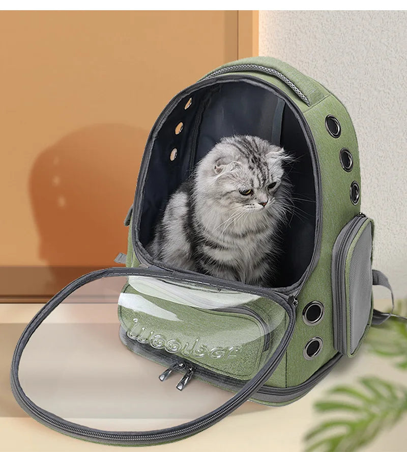 Transparent Pet Carrier Backpack for Cats & Small Dogs | Pawlio™