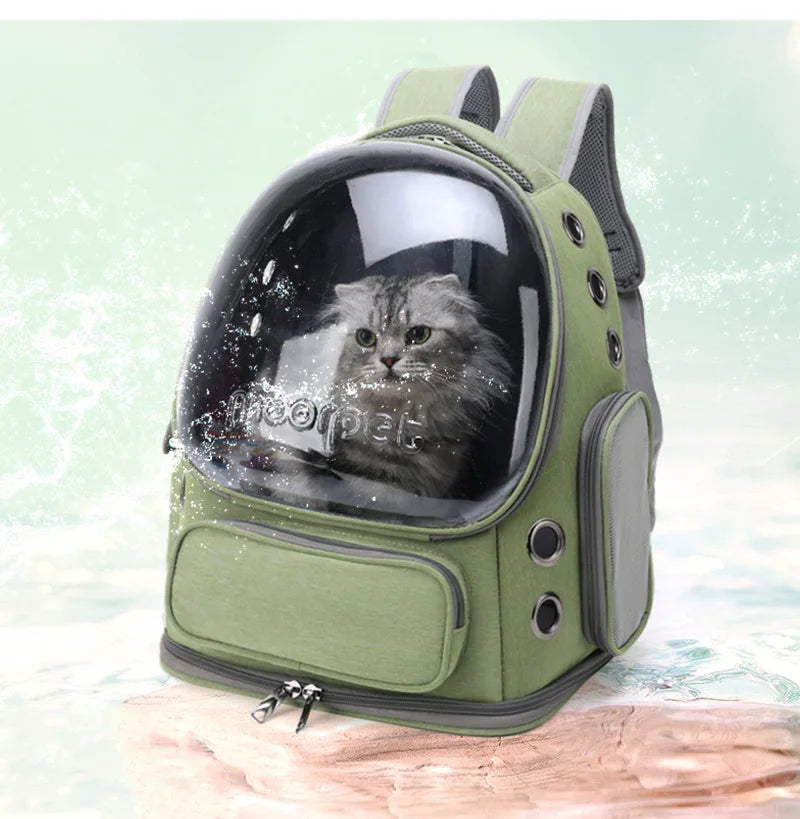 Transparent Pet Carrier Backpack for Cats & Small Dogs | Pawlio™